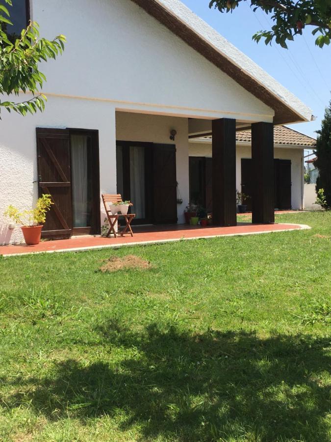 Happy Ria House Hotel Chousa Velha Екстериор снимка